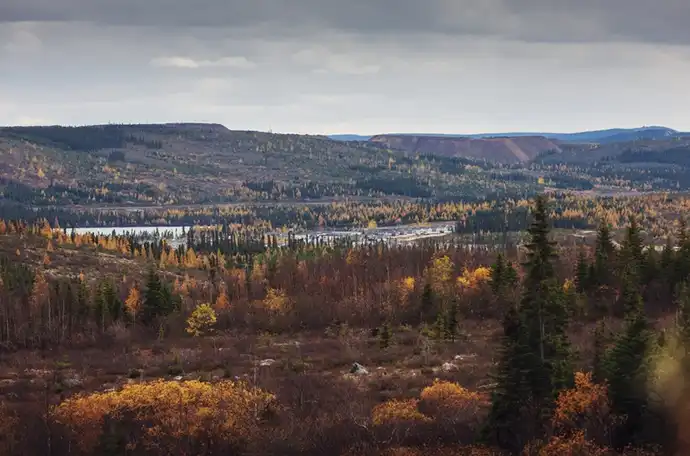 A forested landscape with autumn colours