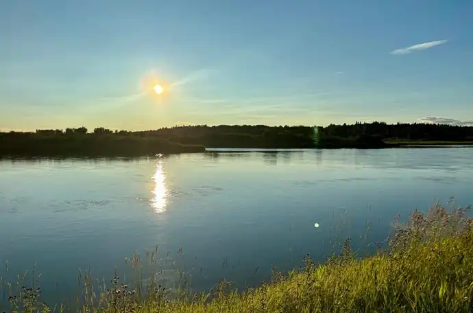 A riverside with the sun shining on the water